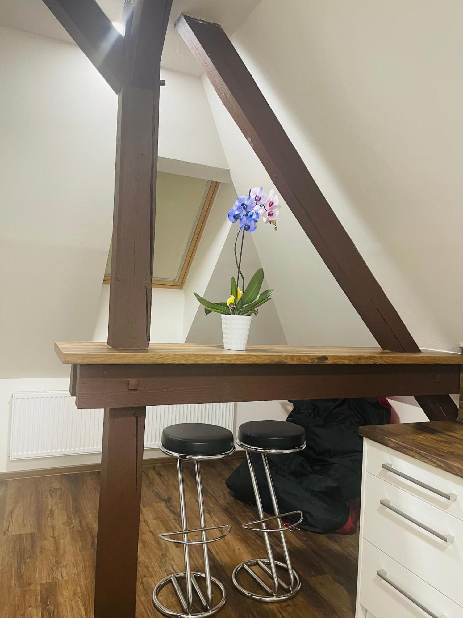 Apartment Jenys Usti 2